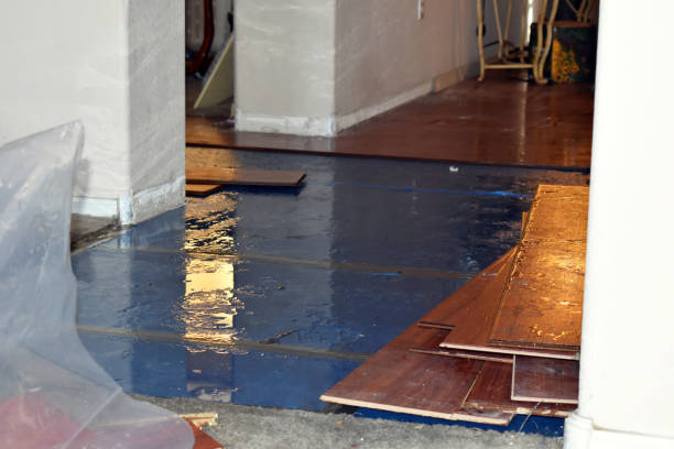 Professional Sewage Cleanup technician working in Brule, WI